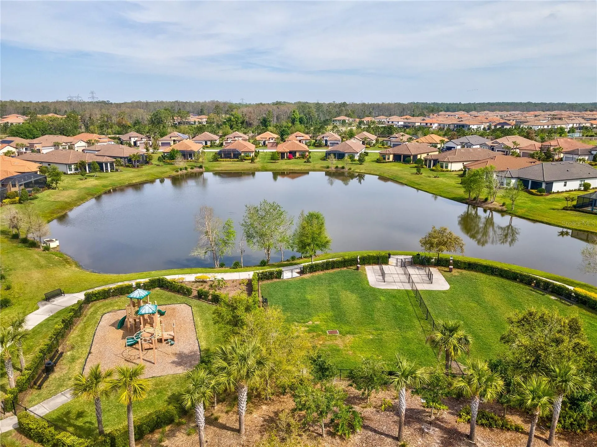 11357 Callisia Drive Odessa FL 33556