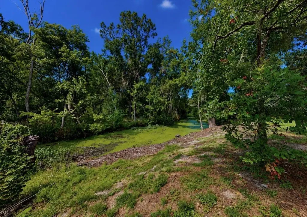 1005 Highgrove Court Valrico FL 33596
