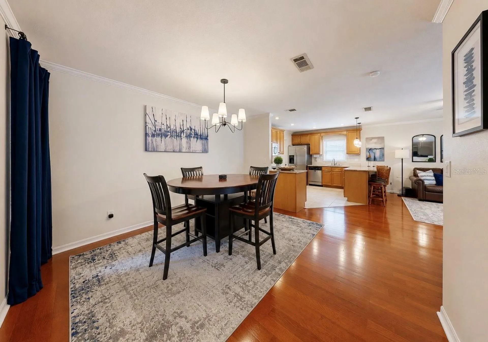 1005 Highgrove Court Valrico FL 33596