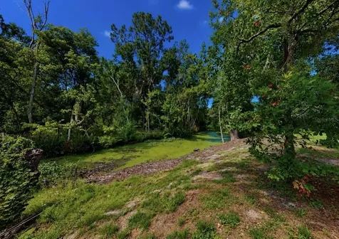 1005 Highgrove Court Valrico FL 33596