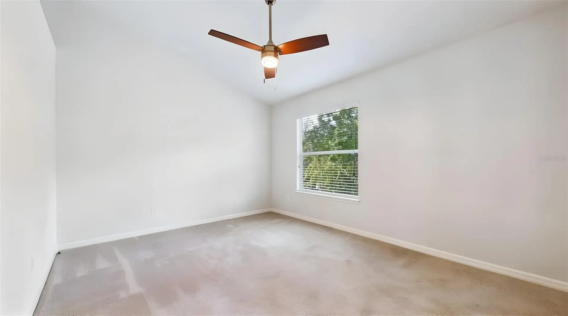 12426 Country White Circle Tampa FL 33635