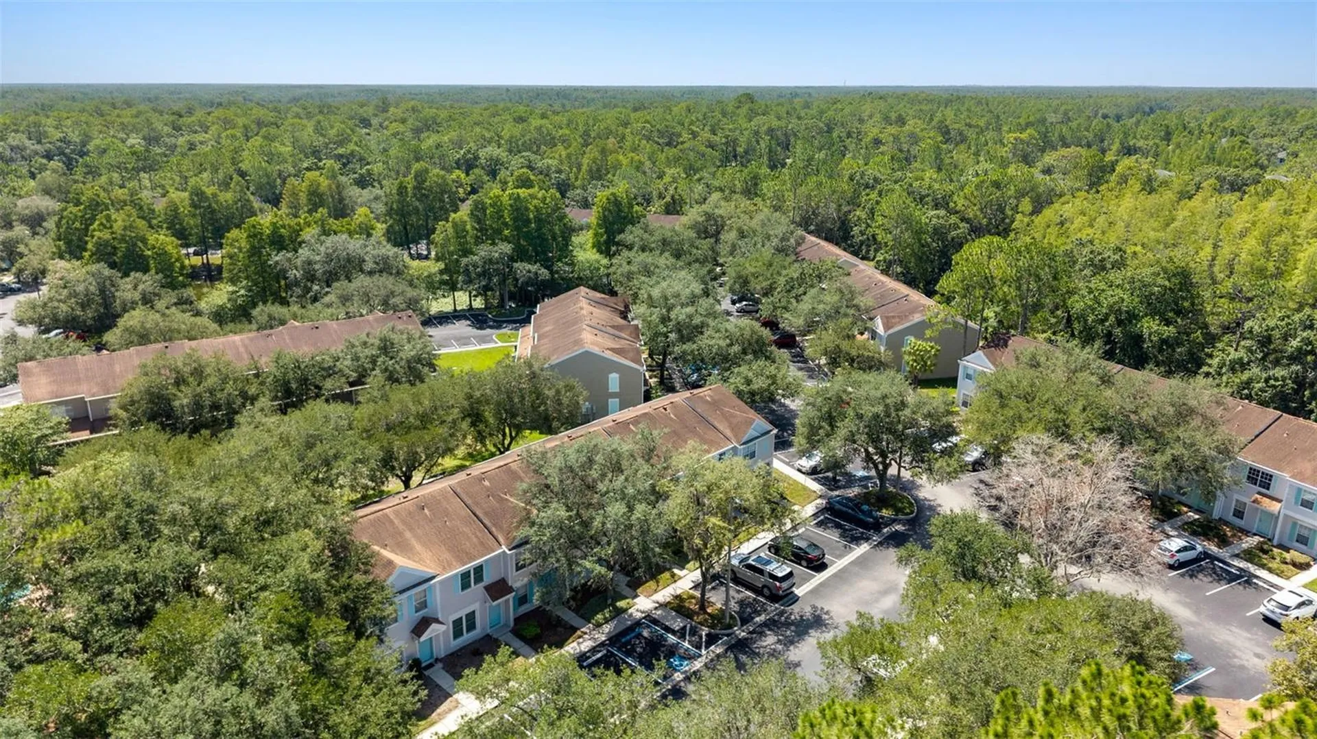 17403 Flatwoods Key Drive Tampa FL 33647