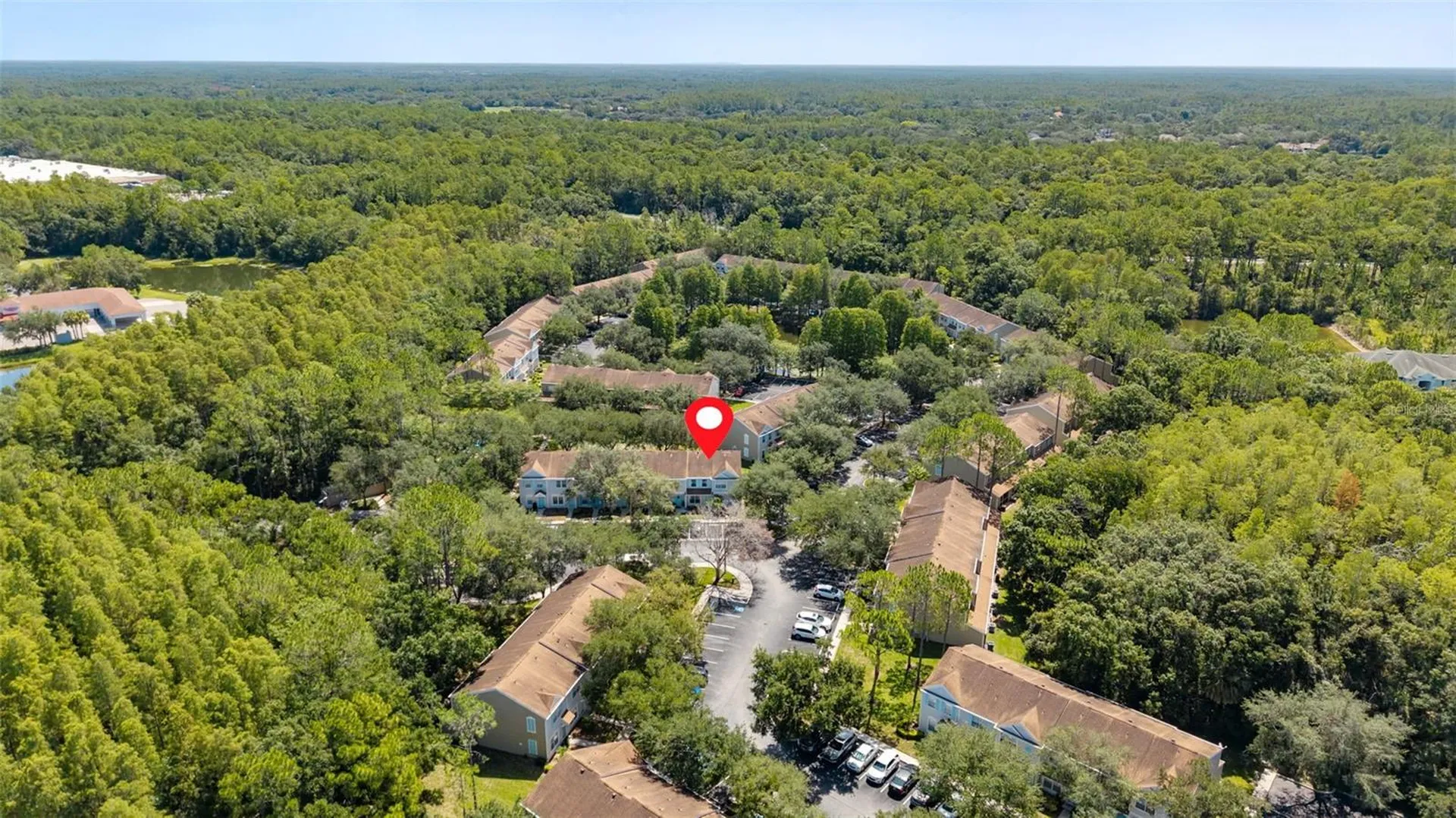 17403 Flatwoods Key Drive Tampa FL 33647