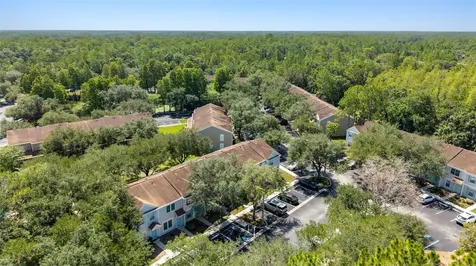 17403 Flatwoods Key Drive Tampa FL 33647