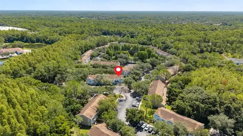 17403 Flatwoods Key Drive Tampa FL 33647