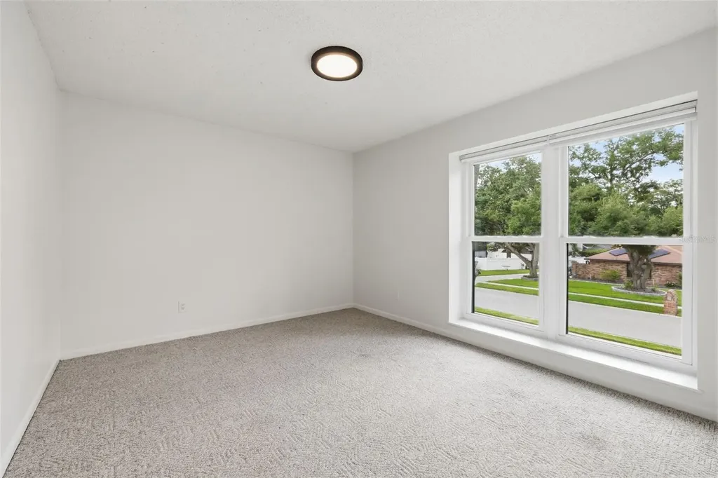 11007 Theresa Arbor Drive Tampa FL 33617