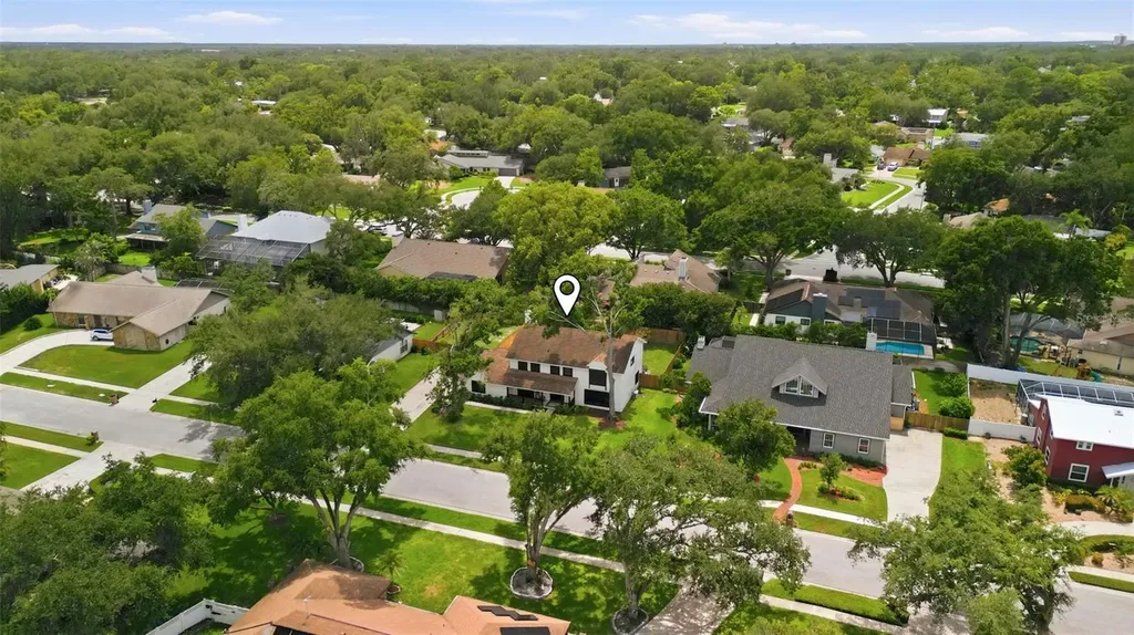 11007 Theresa Arbor Drive Tampa FL 33617