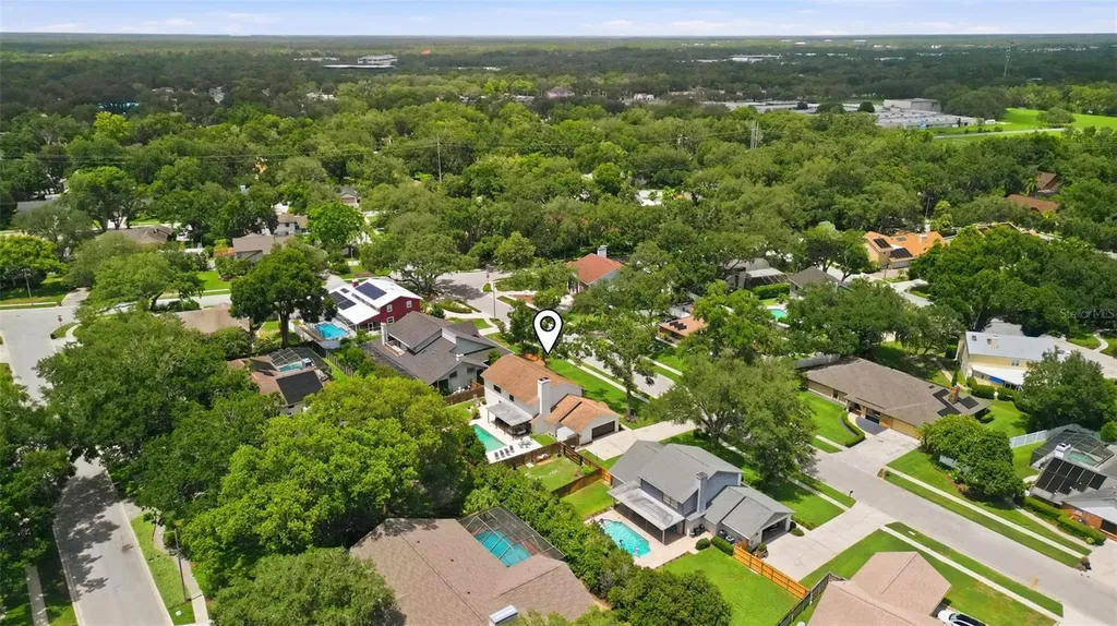 11007 Theresa Arbor Drive Tampa FL 33617