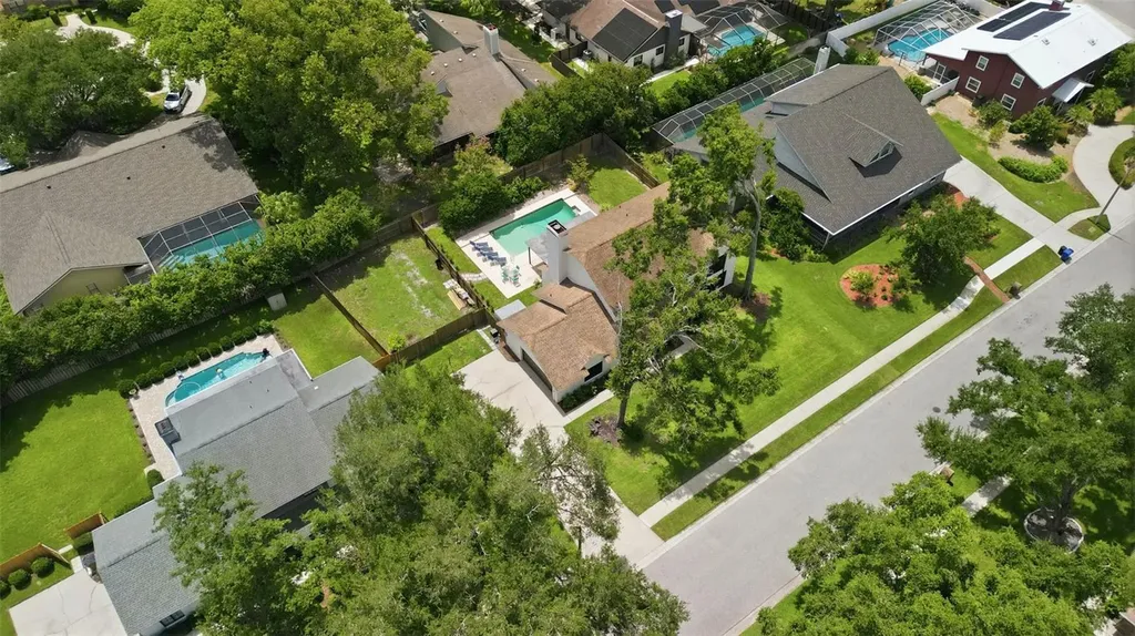 11007 Theresa Arbor Drive Tampa FL 33617