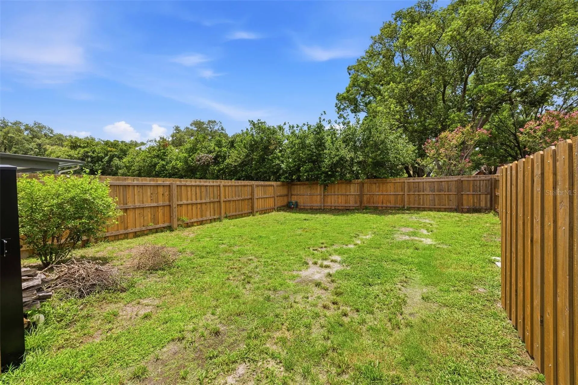 11007 Theresa Arbor Drive Tampa FL 33617