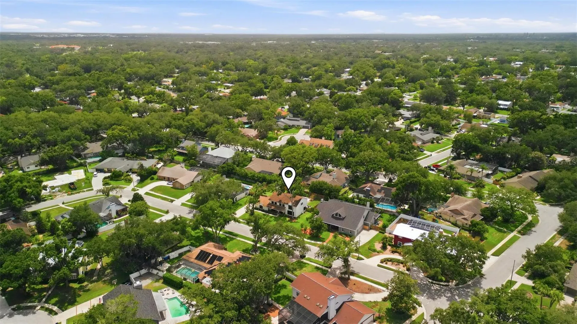 11007 Theresa Arbor Drive Tampa FL 33617