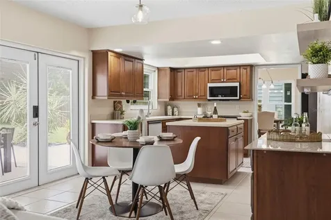 11007 Theresa Arbor Drive Tampa FL 33617