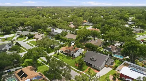 11007 Theresa Arbor Drive Tampa FL 33617