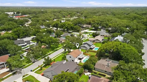 11007 Theresa Arbor Drive Tampa FL 33617