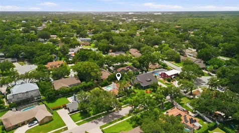 11007 Theresa Arbor Drive Tampa FL 33617