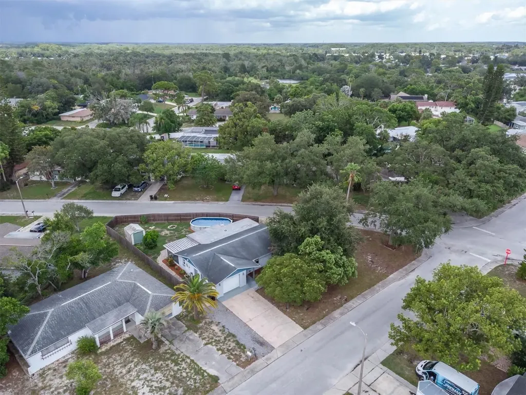 5228 Greenwood Street New Port Richey FL 34653