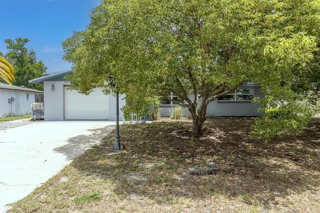 5228 Greenwood Street New Port Richey FL 34653