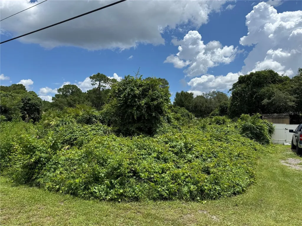 55 Craycroft Avenue Debary FL 32713