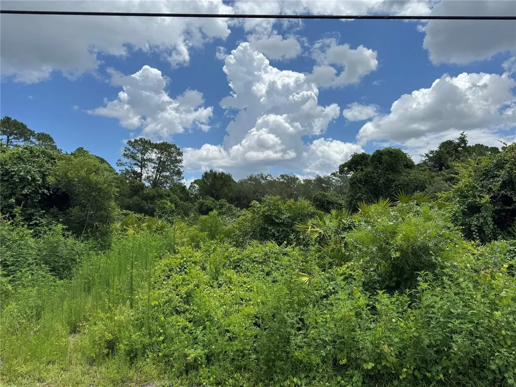 55 Craycroft Avenue Debary FL 32713