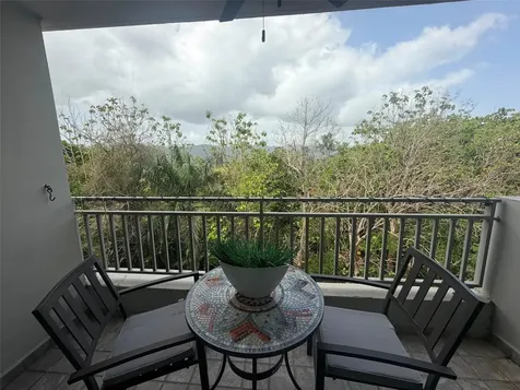 Caminito Alto Carr 189 Gurabo PR 00778