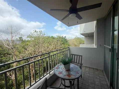 Caminito Alto Carr 189 Gurabo PR 00778