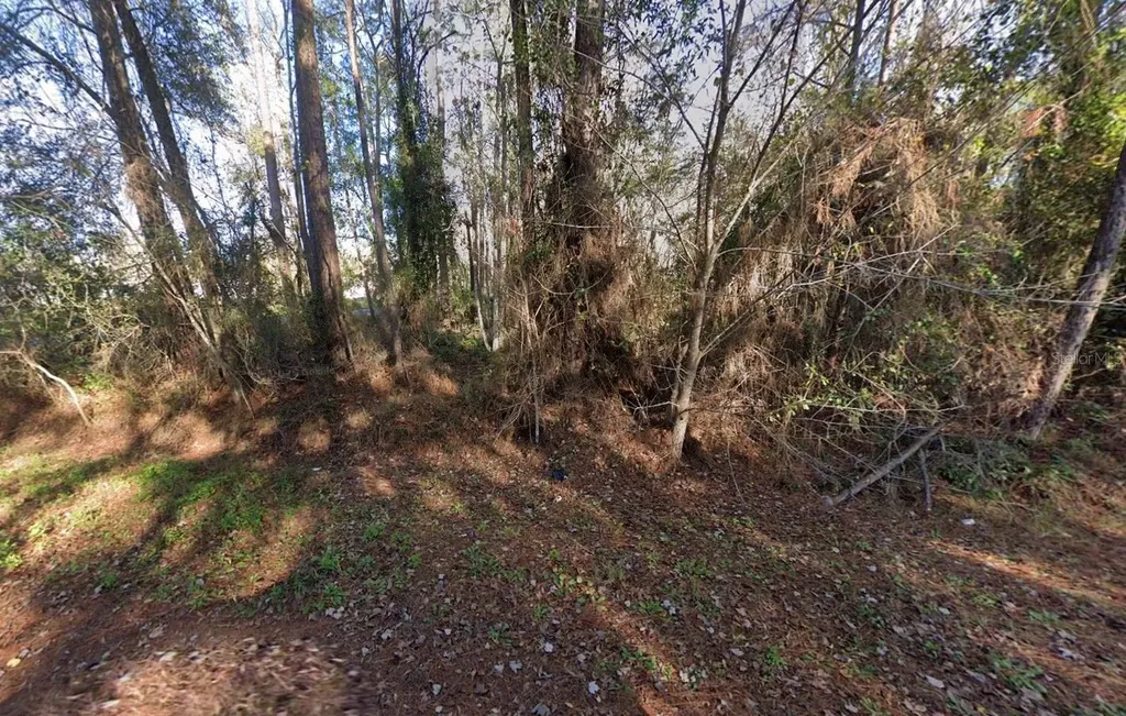 110 Pamela Drive Satsuma FL 32189