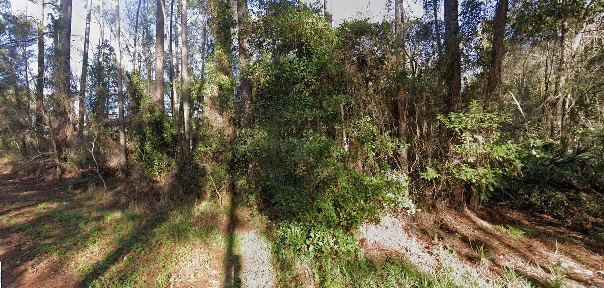 110 Pamela Drive Satsuma FL 32189
