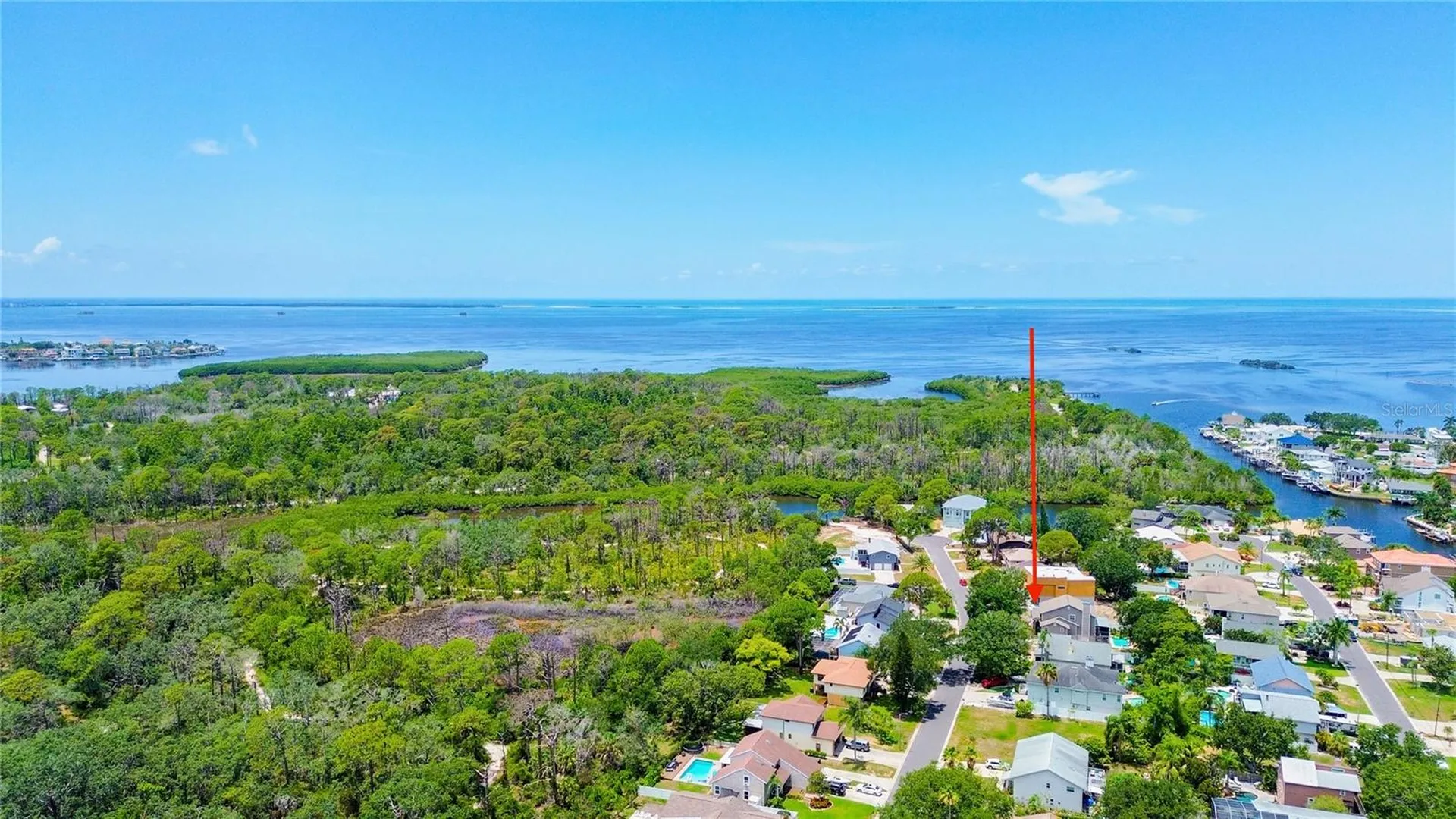 14 Baywood Drive Palm Harbor FL 34683