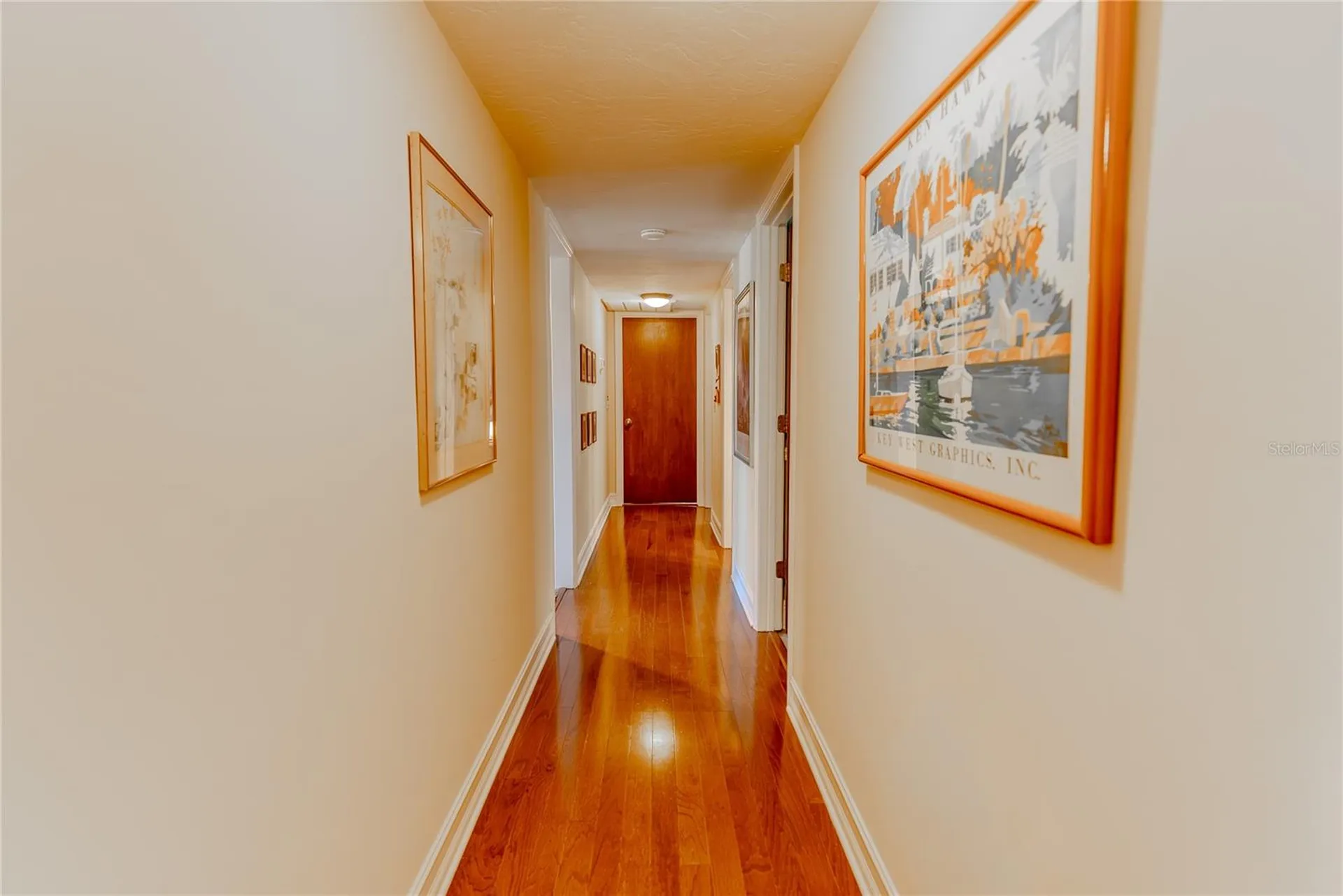 14 Baywood Drive Palm Harbor FL 34683