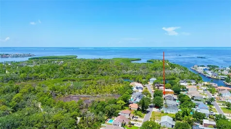 14 Baywood Drive Palm Harbor FL 34683