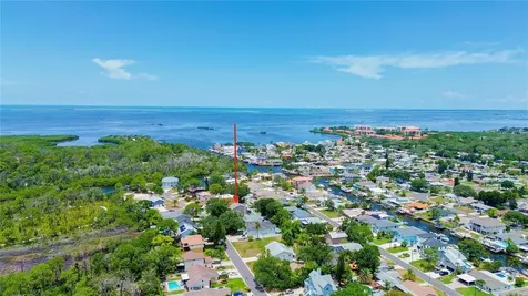 14 Baywood Drive Palm Harbor FL 34683