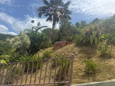 123 Carr Ponce PR 00731