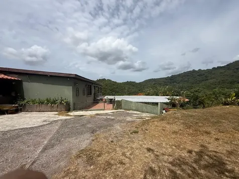 123 Carr Ponce PR 00731