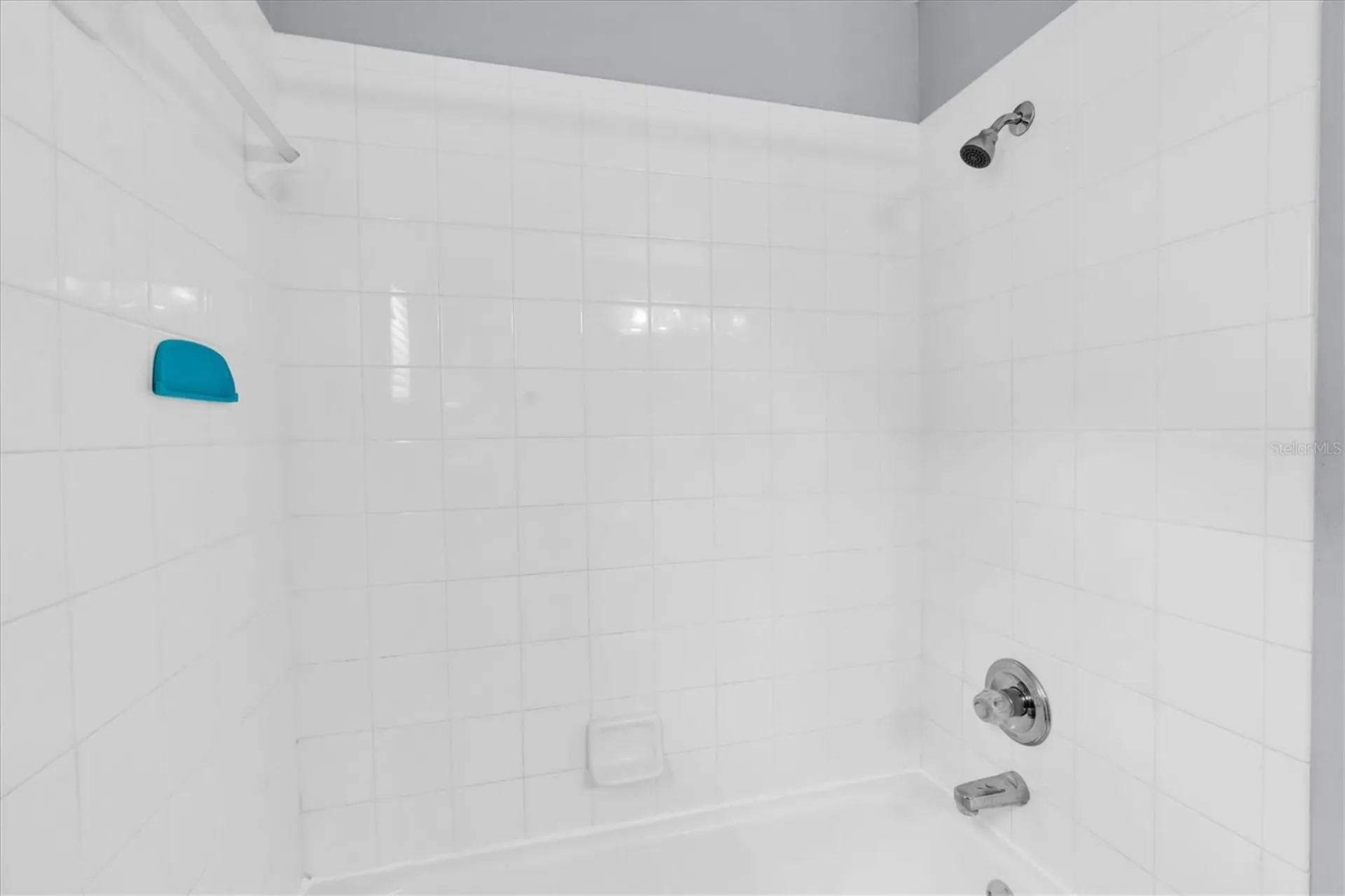 24308 Landing Drive Lutz FL 33559