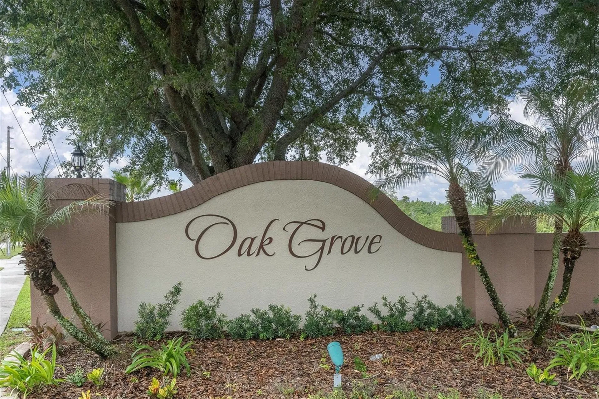 24308 Landing Drive Lutz FL 33559