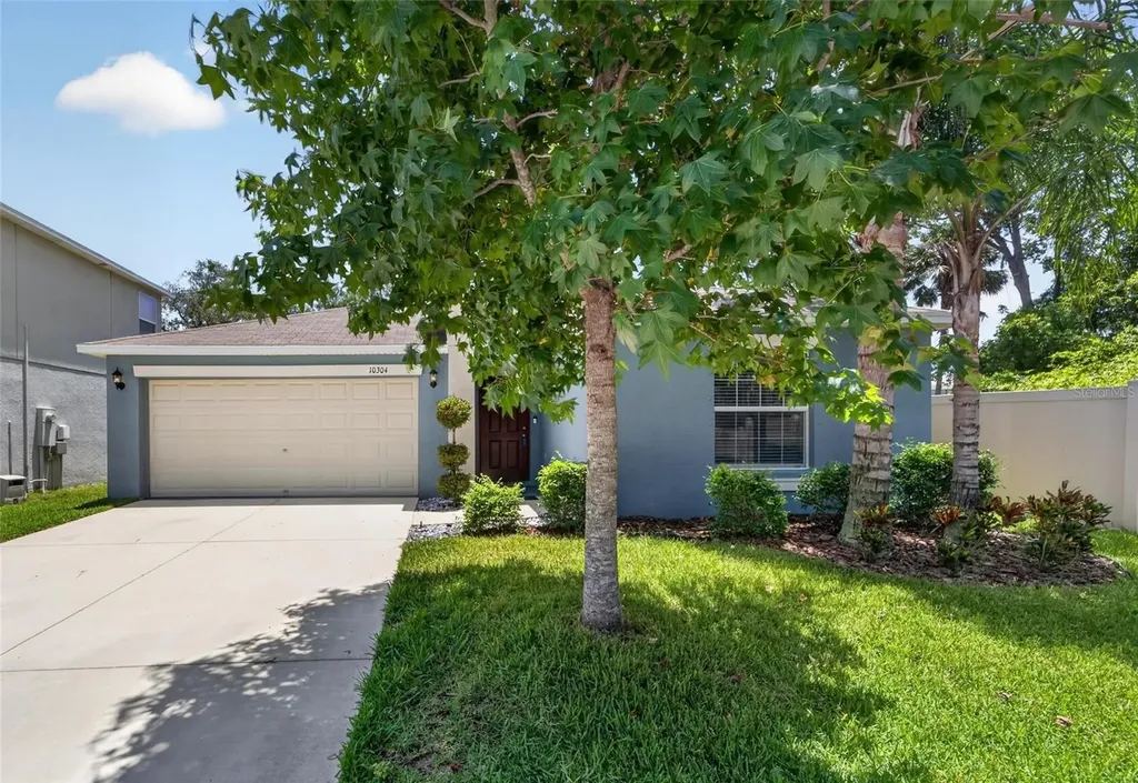 10304 Strawberry Tetra Drive Riverview FL 33578