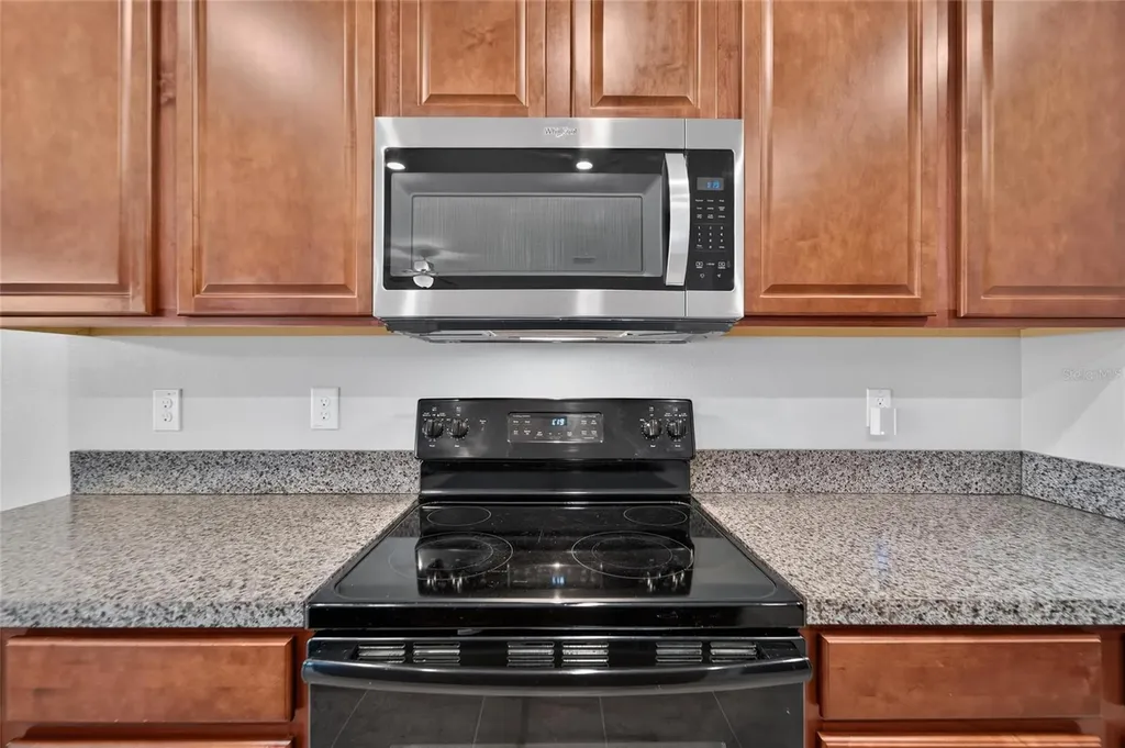 10304 Strawberry Tetra Drive Riverview FL 33578