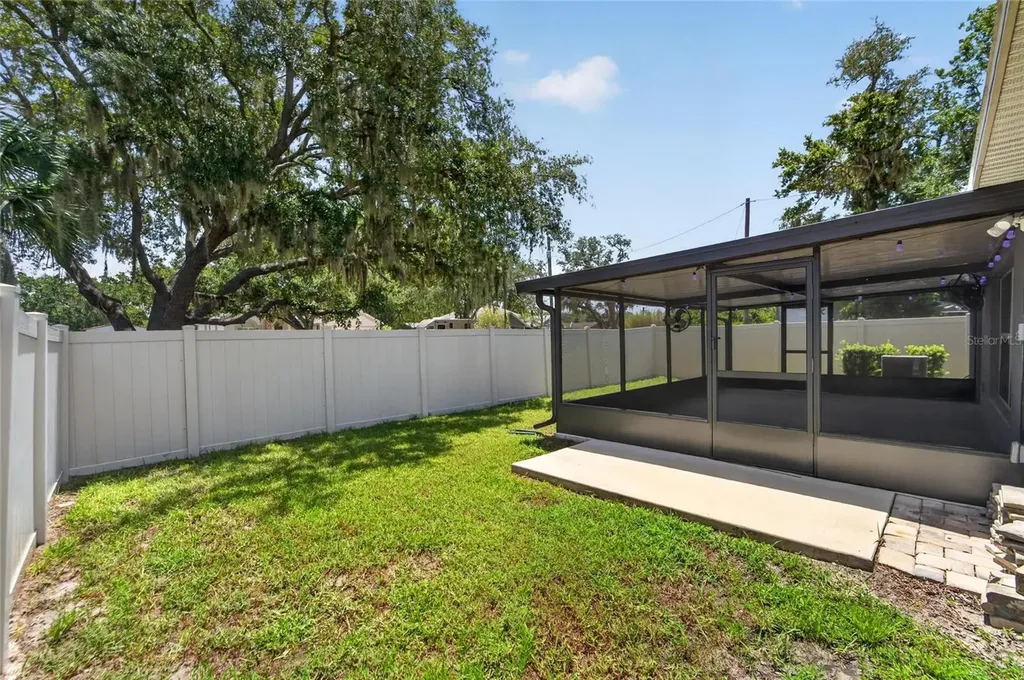 10304 Strawberry Tetra Drive Riverview FL 33578