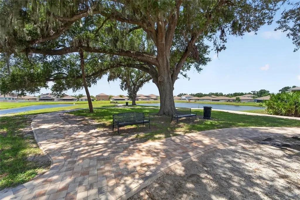 10304 Strawberry Tetra Drive Riverview FL 33578