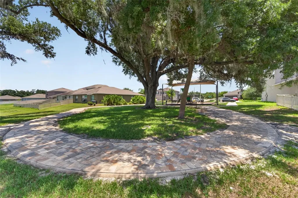 10304 Strawberry Tetra Drive Riverview FL 33578