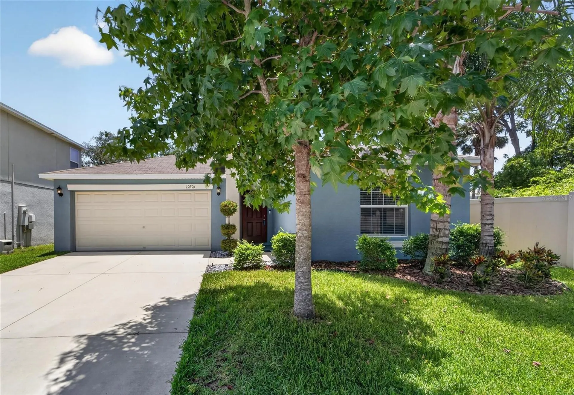 10304 Strawberry Tetra Drive Riverview FL 33578
