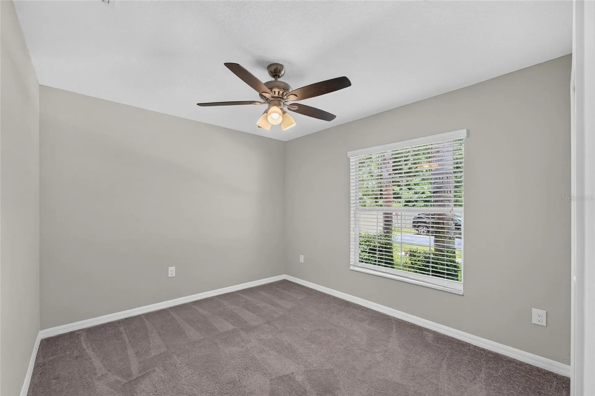 10304 Strawberry Tetra Drive Riverview FL 33578