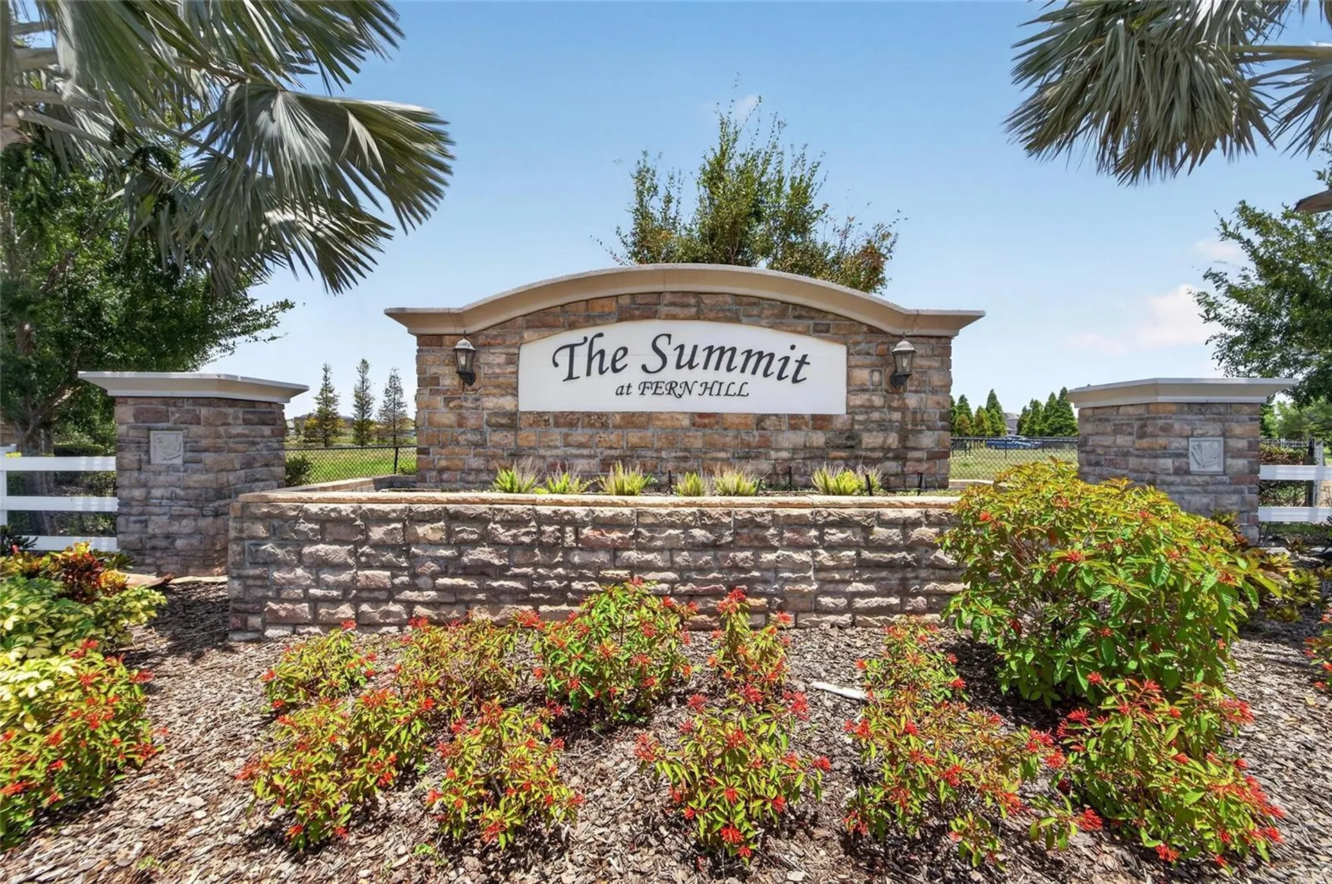10304 Strawberry Tetra Drive Riverview FL 33578