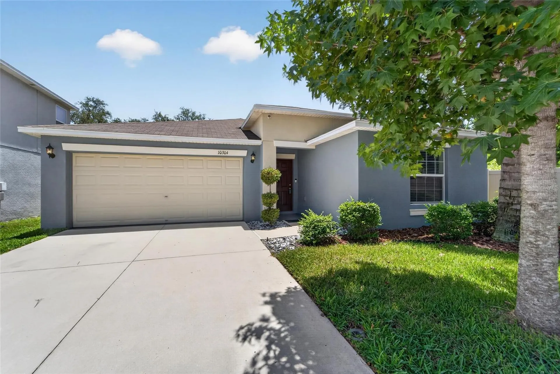 10304 Strawberry Tetra Drive Riverview FL 33578