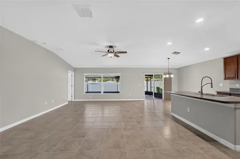 10304 Strawberry Tetra Drive Riverview FL 33578