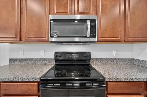 10304 Strawberry Tetra Drive Riverview FL 33578