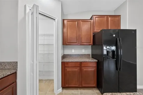 10304 Strawberry Tetra Drive Riverview FL 33578