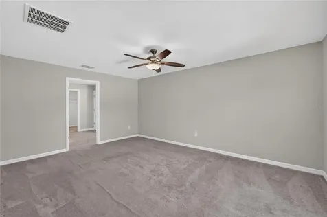 10304 Strawberry Tetra Drive Riverview FL 33578