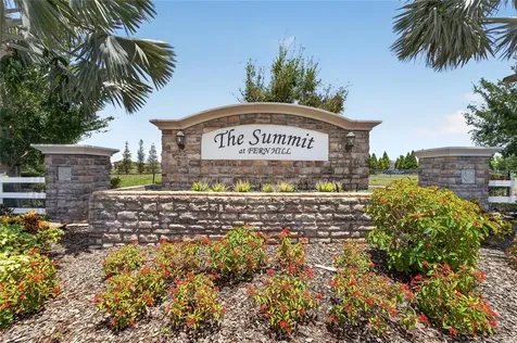 10304 Strawberry Tetra Drive Riverview FL 33578