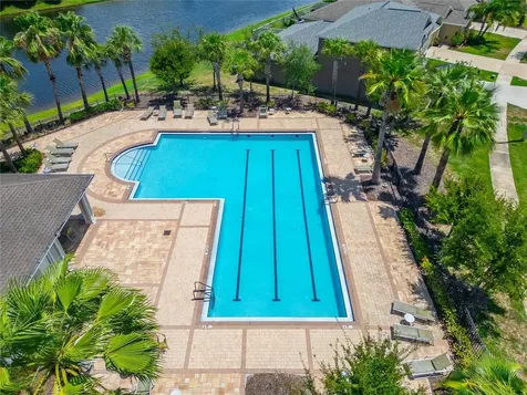 10304 Strawberry Tetra Drive Riverview FL 33578